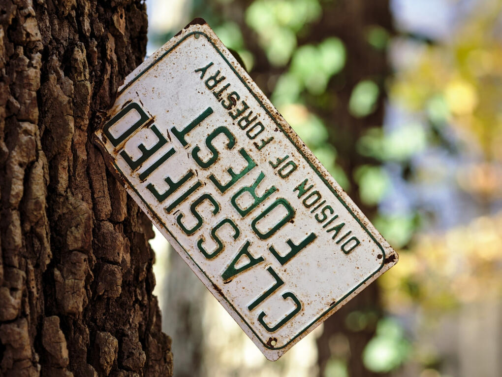 Classified Forest Sign Classified Forest Sign